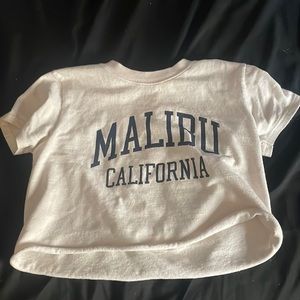 pacsun/brandy crop top